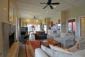 TV, fireplace, DVD player, books