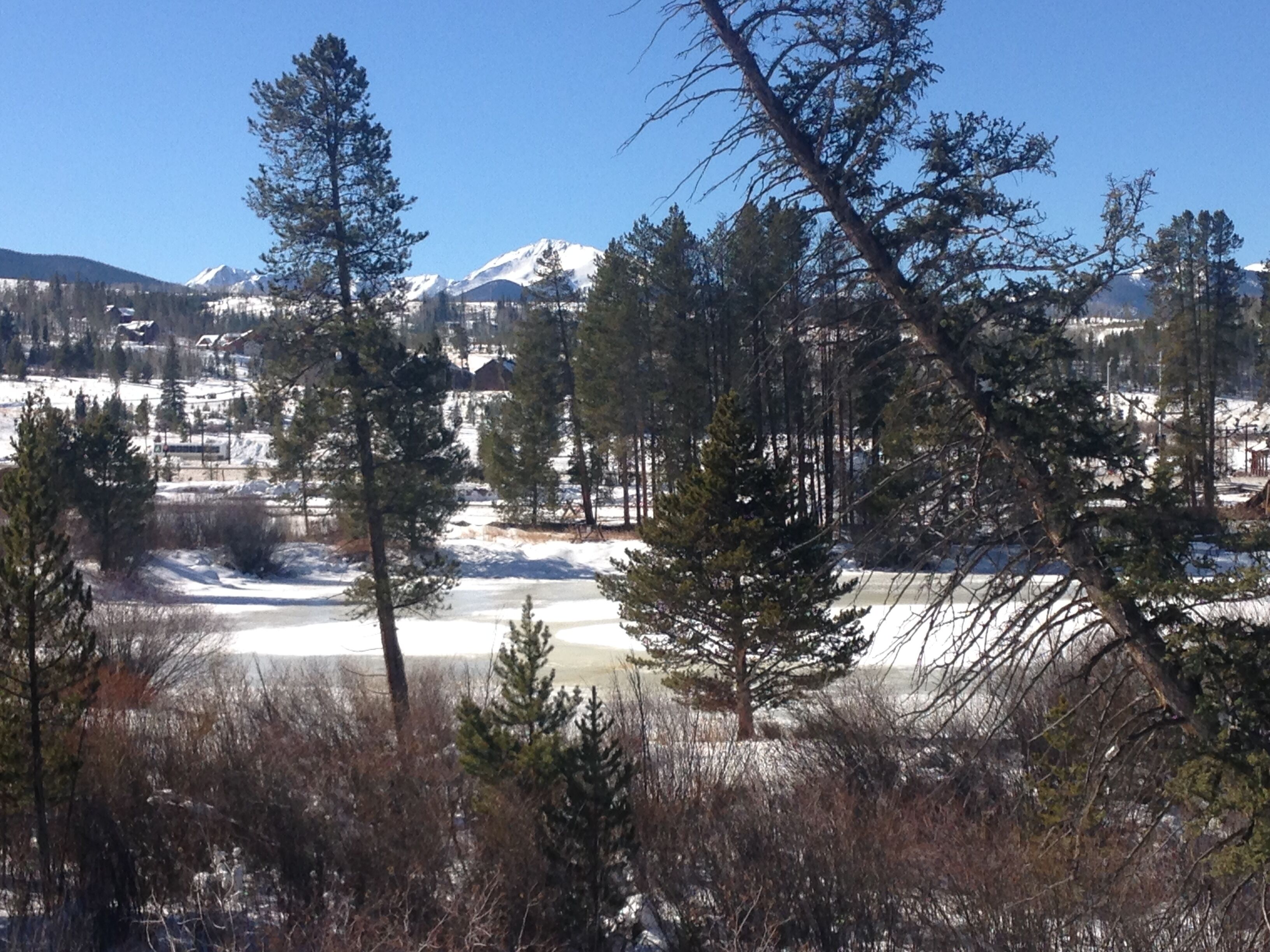 A snowy landscape with a pond, trees, and a mountain in the background.