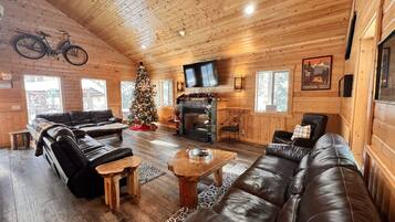 TV connectée, cheminée, jeux vidéo, lecteur de DVD