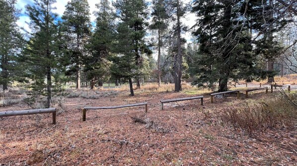 Une zone boisée avec des garde-corps en bois et un sentier de terre.