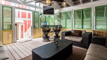 TV, video library, stereo