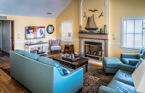 Télévision, cheminée, lecteur de DVD, livres