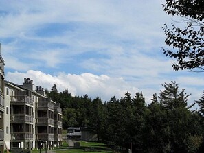 A multi-story building with balconies, surrounded by dense forest.