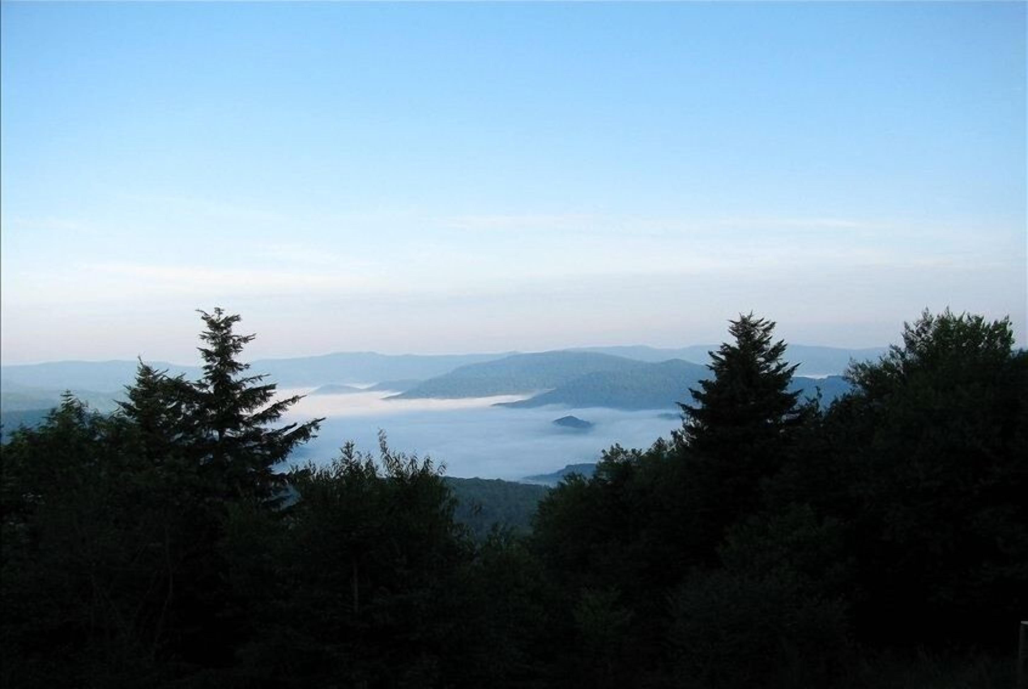 Un paysage montagneux, avec une forêt dense au premier plan et une étendue d’eau visible au loin.