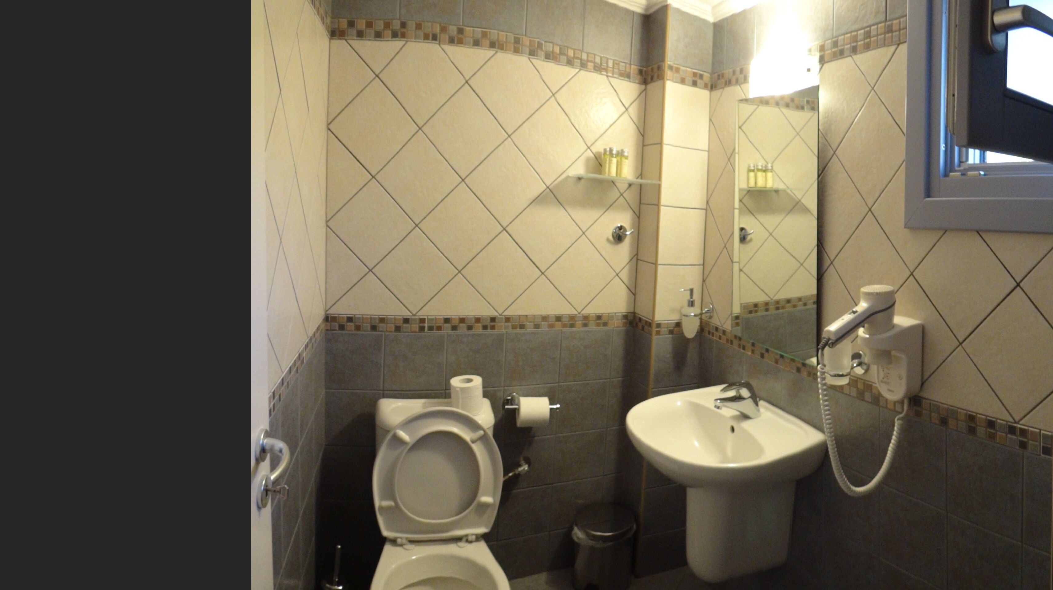 Une salle de bain avec des toilettes, un lavabo et un miroir.