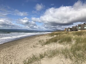 On the beach