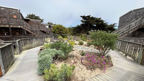 A wooden boardwalk with a garden area featuring various plants and flowers. - Modern Beach Front Pajaro Dunes 1st Floor Condo - Yards From Beach/Gated Entry (Watsonville)