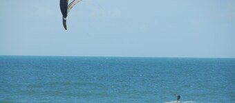 SEPT SALE LAST MIN DEAL. BEACHFRONT, AWESOME VIEW, HEATED POOL & PET FRIENDLY