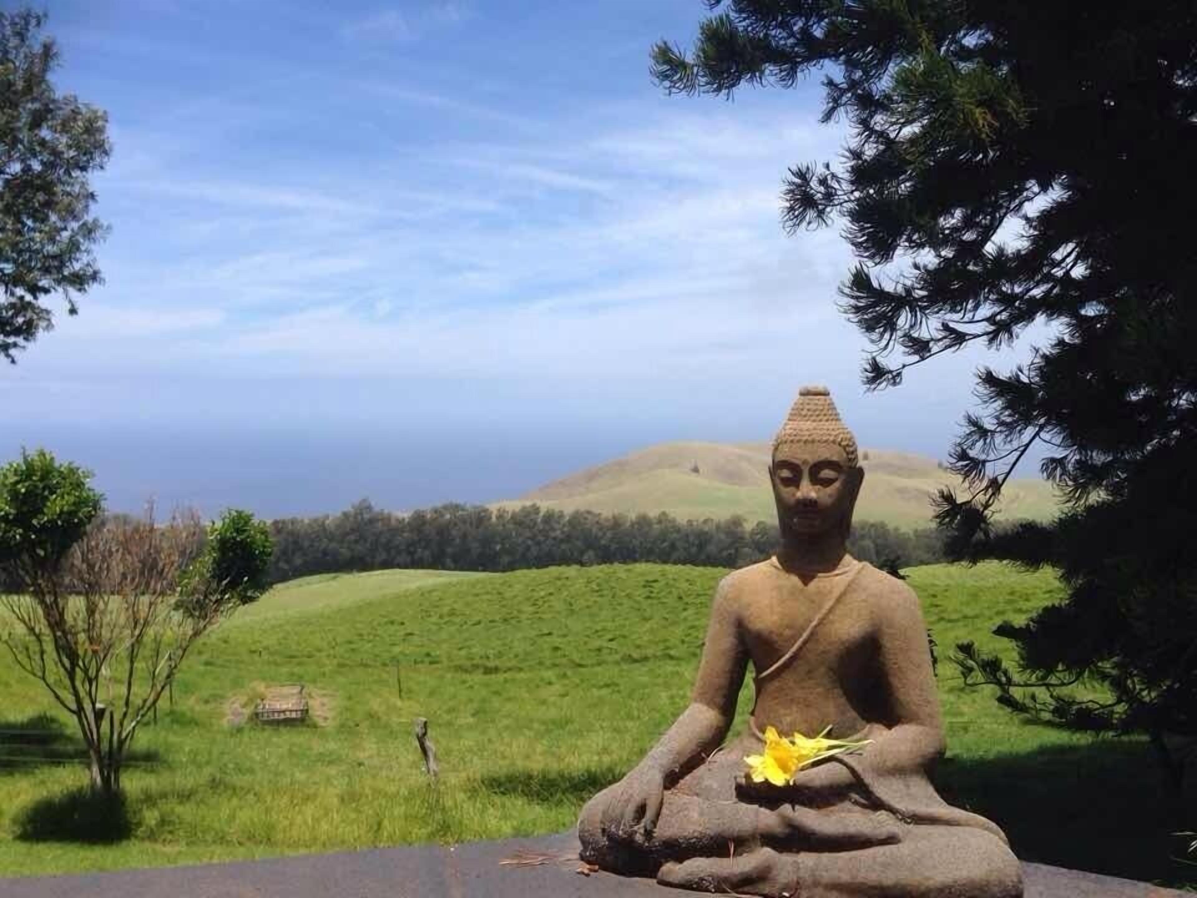 Serenity. The view as you pull into the driveway.