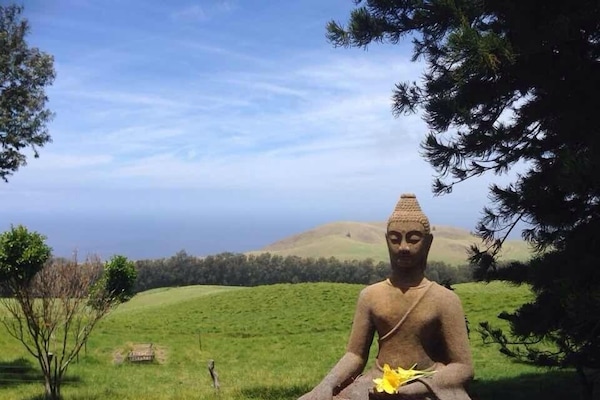 Serenity. The view as you pull into the driveway.