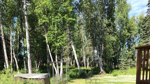 A grassy outdoor area with a wooden structure, surrounded by trees.