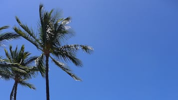 沙滩毛巾