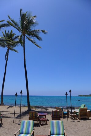 A beach with palm trees, lounge chairs, and a view of the ocean.