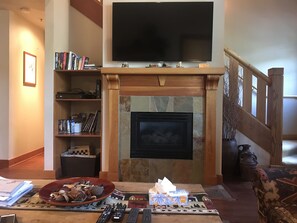 Smart TV, fireplace, books