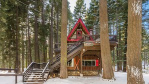 Een chalet met een rood dak, een houten trap en een stenen fundering, omringd door hoge dennenbomen.