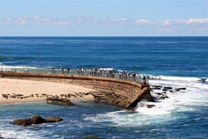 Ubicación cercana a la playa y toallas de playa