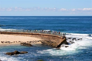 Plage à proximité, serviettes de plage