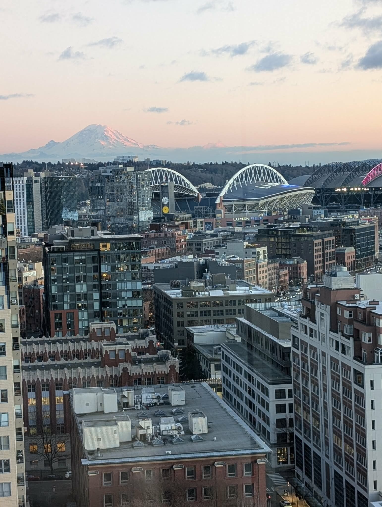 A cityscape with modern buildings, a prominent bridge, and a mountain in the background.