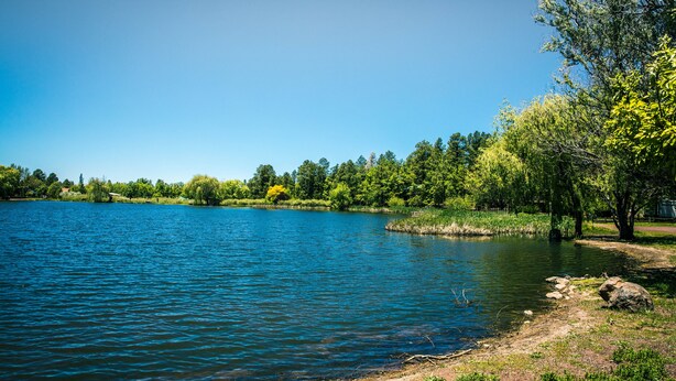 A serene lake with clear blue water, surrounded by lush greenery and trees. - SPECTACULAR MOUNTAIN BLUFF CABIN WITH LAKE VIEWS-CENTRAL AC! (Pinetop-Lakeside)