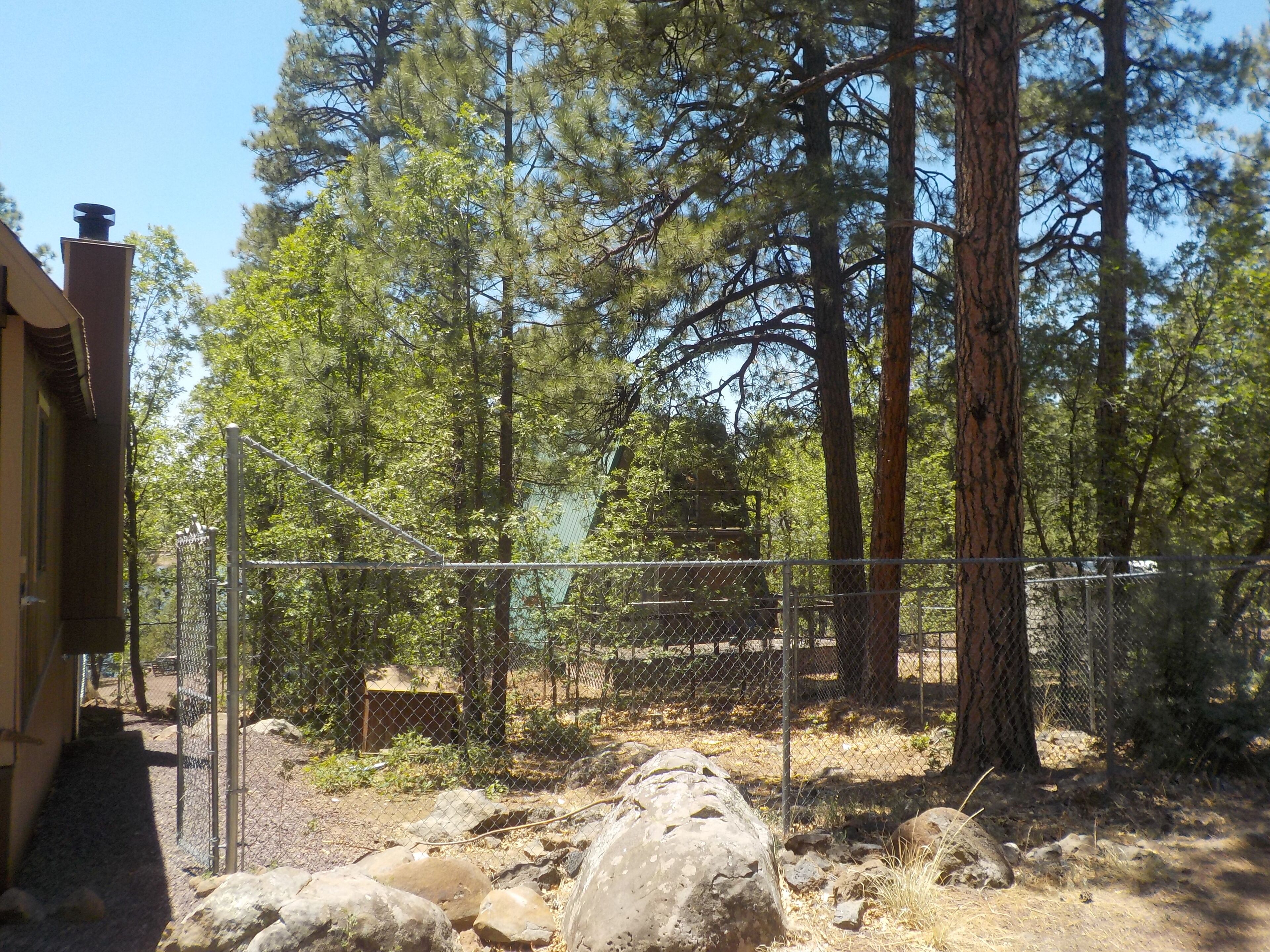 A fenced outdoor area with large rocks, a building with a chimney, and tall pine trees.