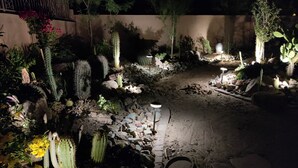 A nighttime garden with various cacti and desert plants, illuminated by street lamps. - THE RETREAT, an Executive Custom Home in Estrella Mtns! (Goodyear)