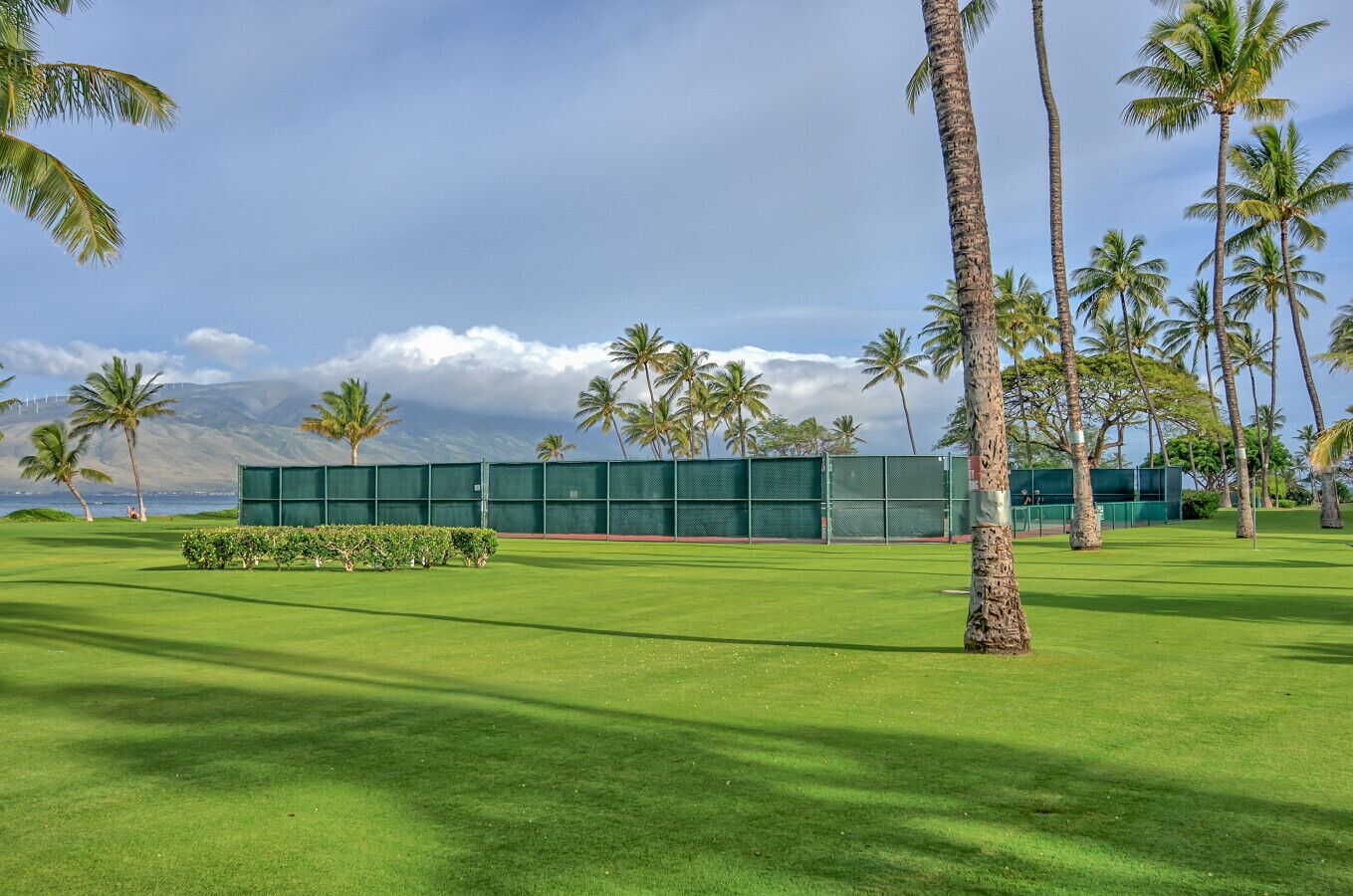 Een golfbaan met een groen gebouw, palmbomen en uitzicht op de oceaan.