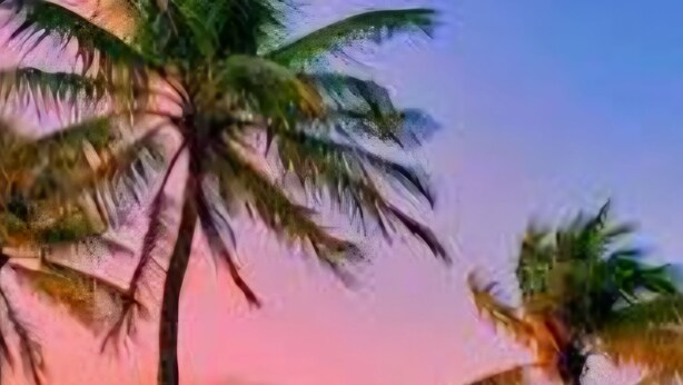 A wooden pathway leading to a beach with palm trees and a wooden fence. - Feb 3-10
$245 off the rates
close beach full kitchen & patio (Key West)