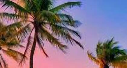 Söpö, puhdas, kodikas ja lähellä kaikkia! Alennetut hinnat 25 dollaria pois 2019 yöhinta!