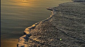 A beach with a calm sea and a setting sun. - Best Amazing Deal  Beach Front & Stunning Views +Chef & Maid included (Punta de Mita)