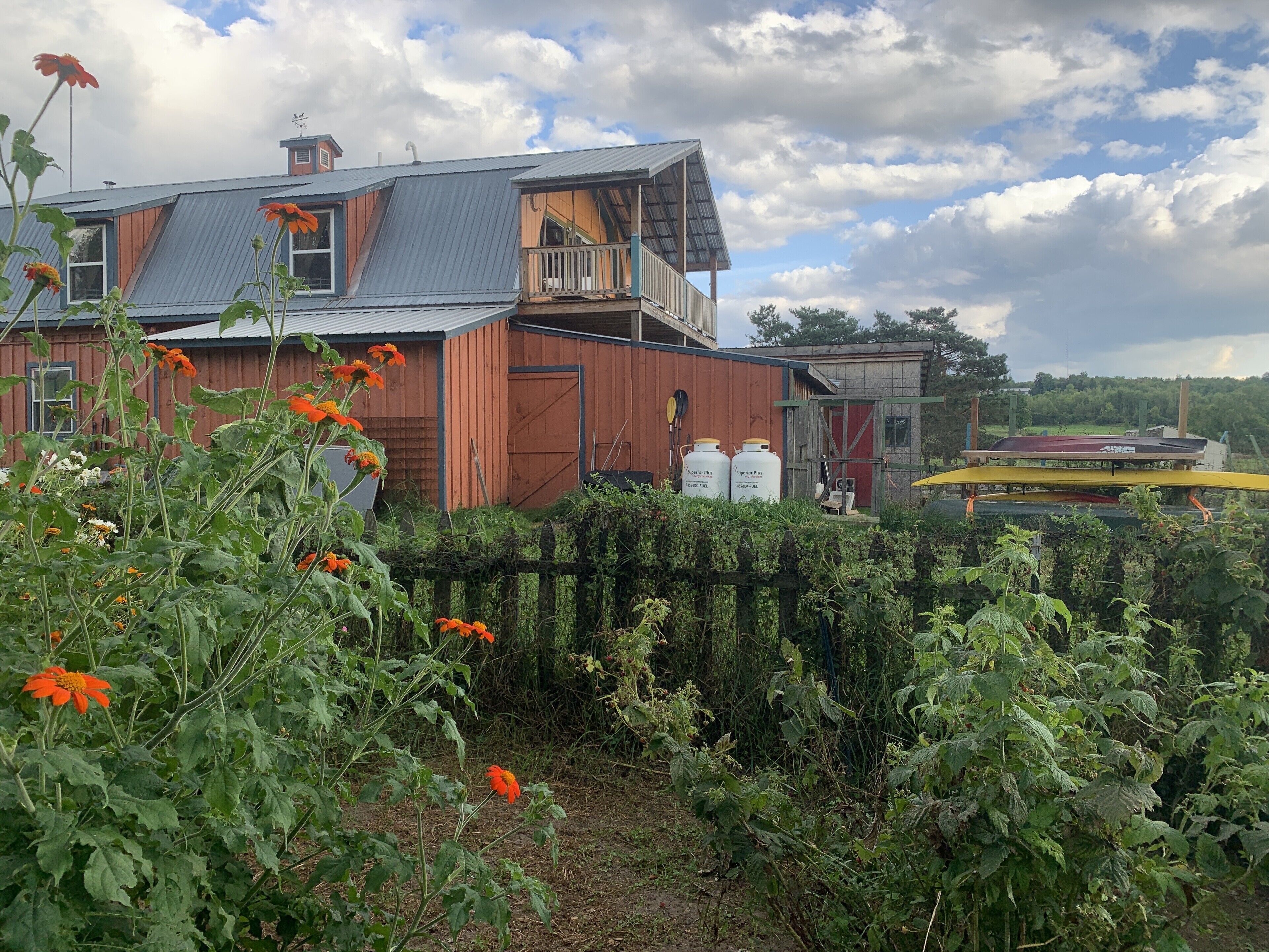 Overnattingsstedets uteområder