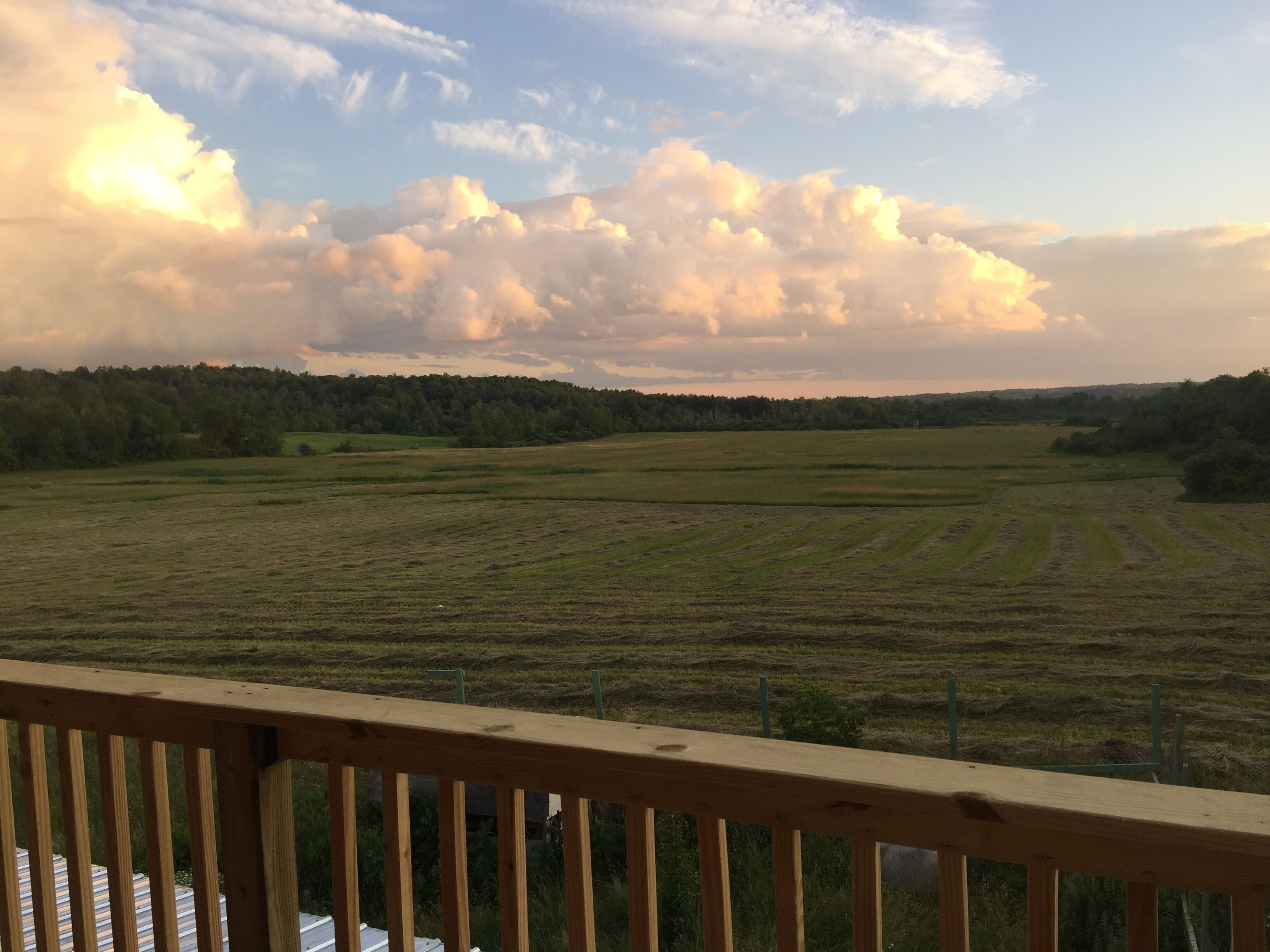Vista desde una terraza de madera con vistas a un campo abierto y extenso, un bosque a lo lejos y un cielo parcialmente nublado.