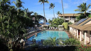 Un hôtel doté d’une piscine entourée de palmiers et de chaises longues.