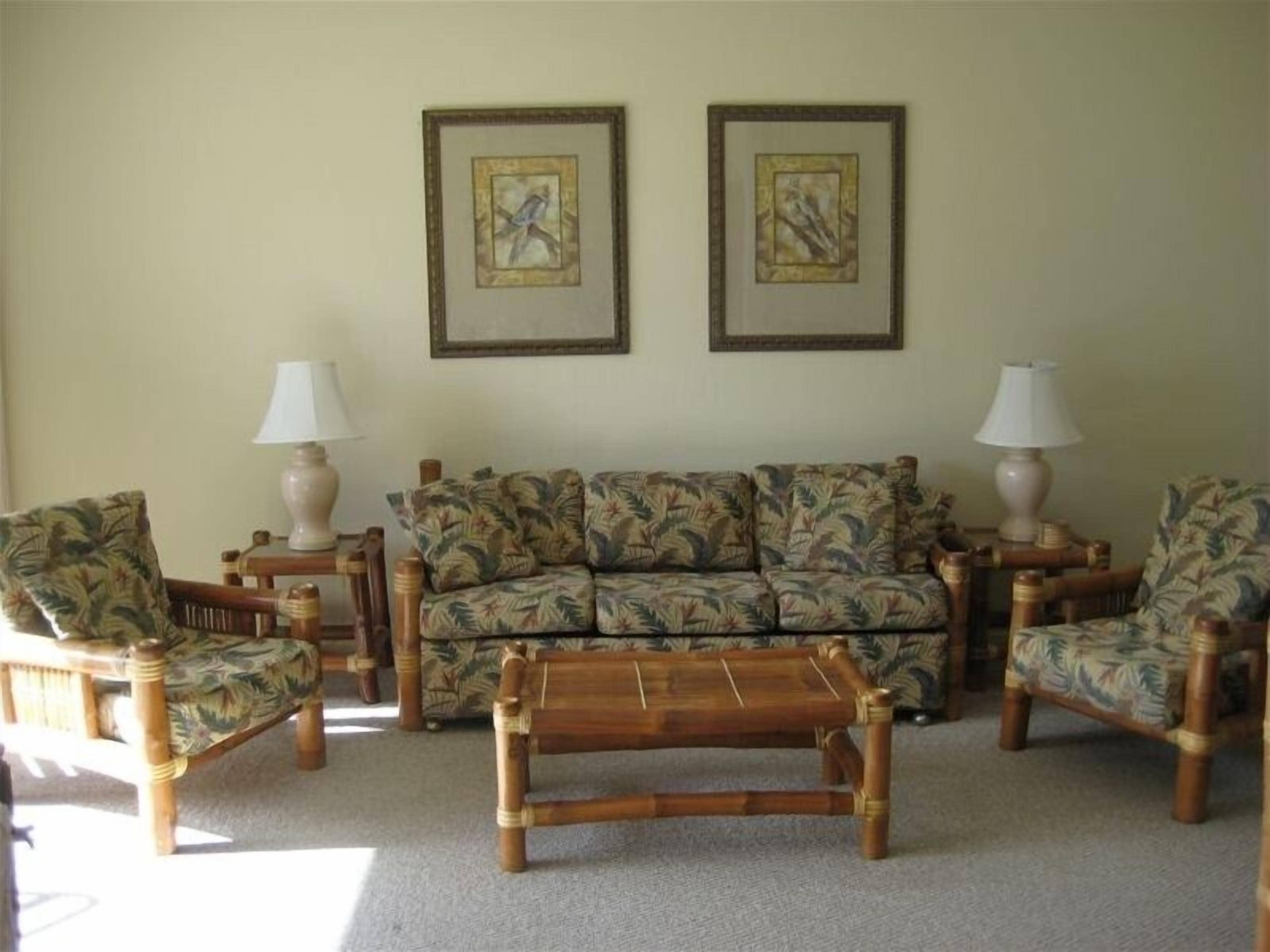 Smart TV, DVD player, books, stereo