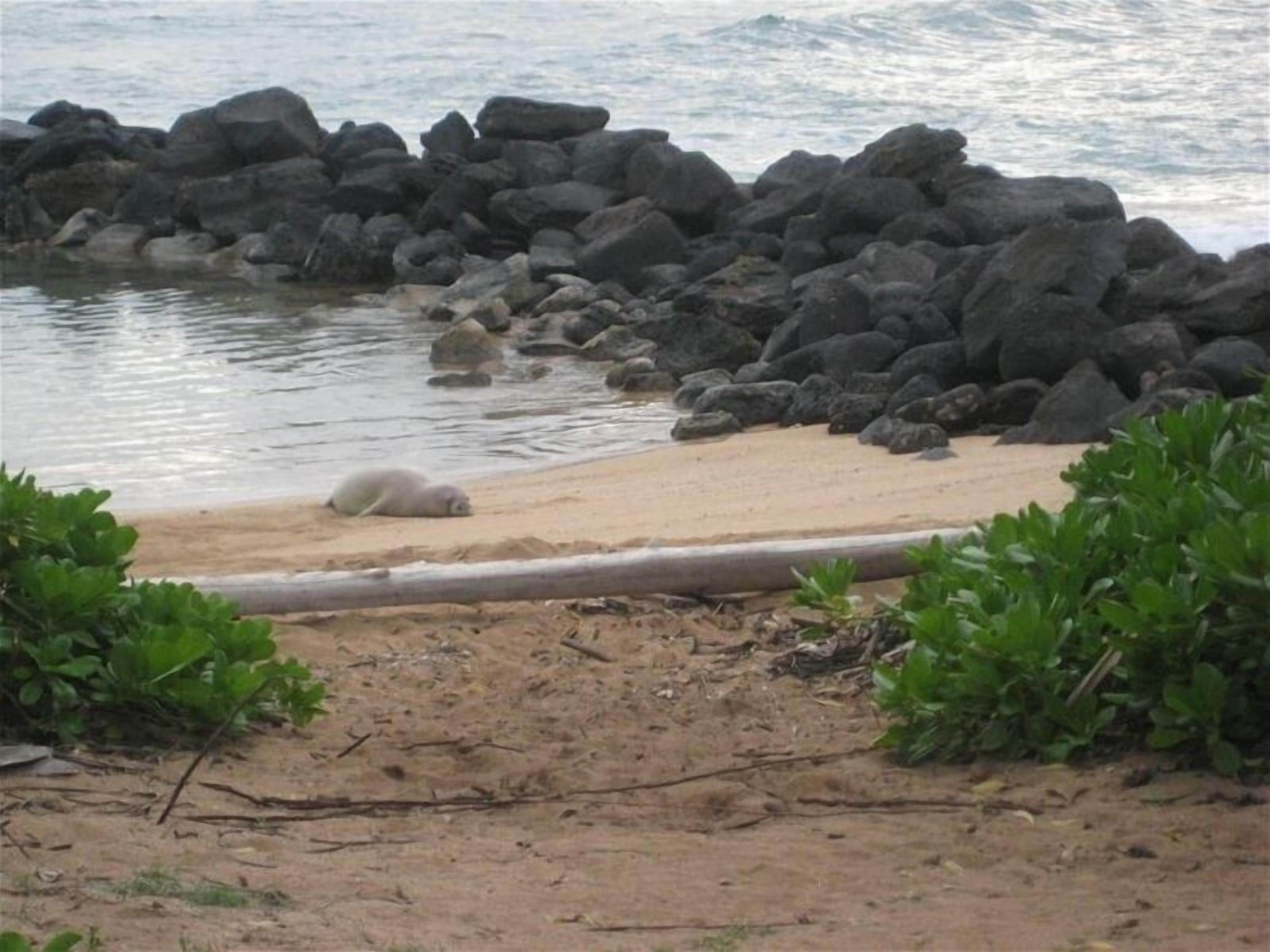On the beach, beach towels
