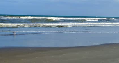 Aivan rannalla, merinäköala, moderni 2BR / 2B, 2 parveketta