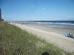 On the beach