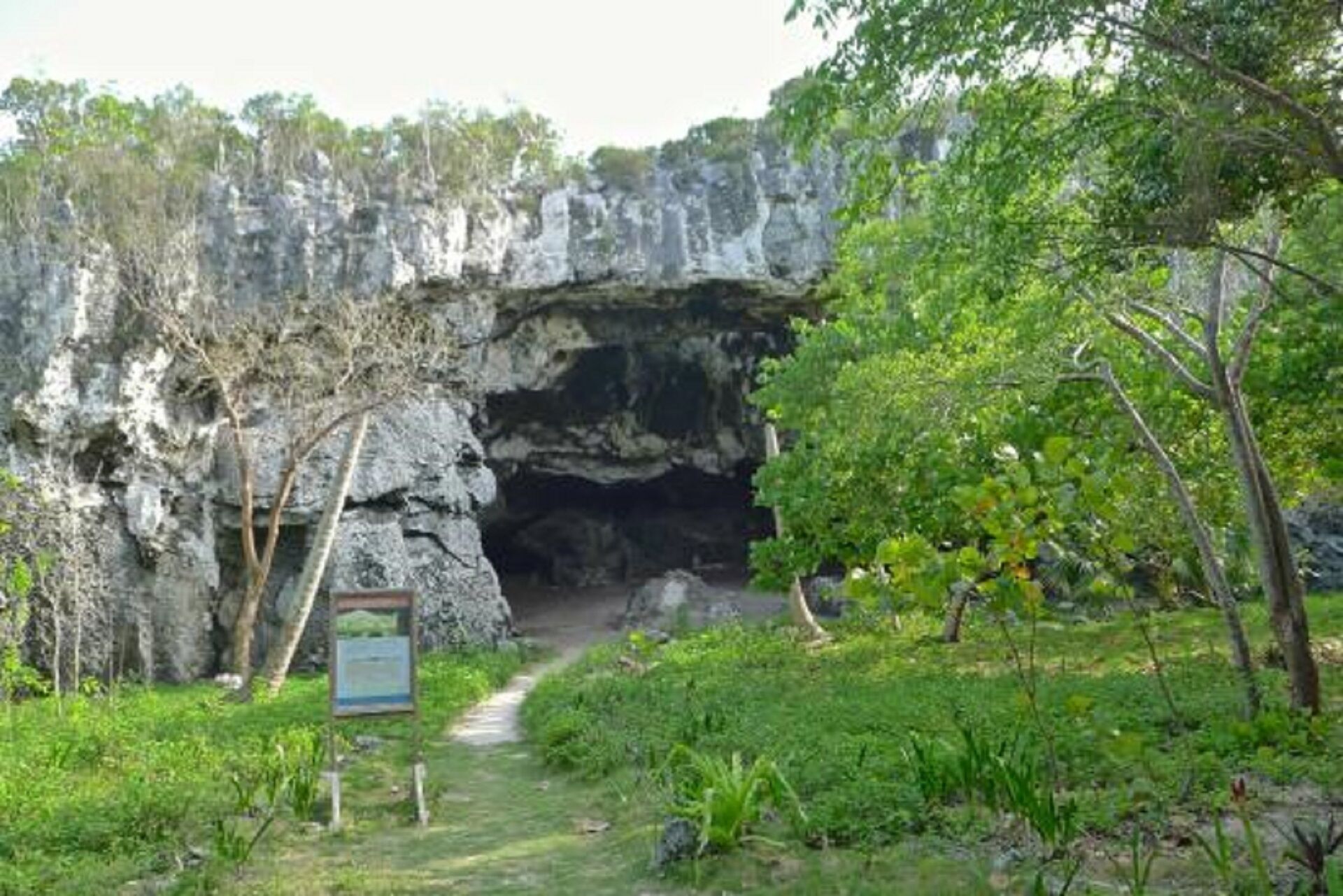 A cave entrance surrounded by lush greenery and a signboard.