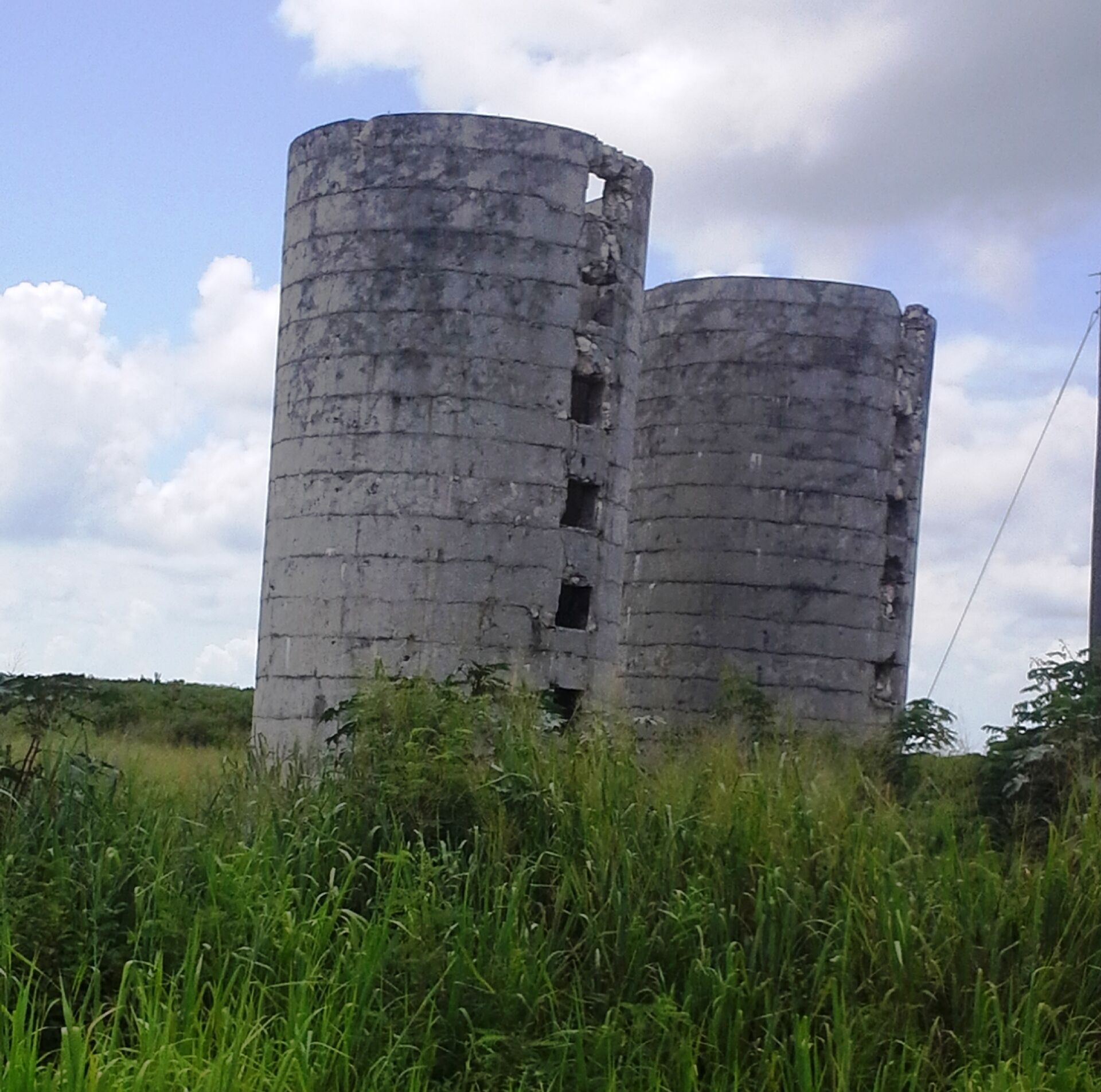 Two cylindrical concrete structures with visible openings, surrounded by tall grass.