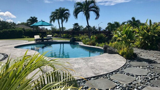 A swimming pool with a curved edge, surrounded by a stone pathway and palm trees.