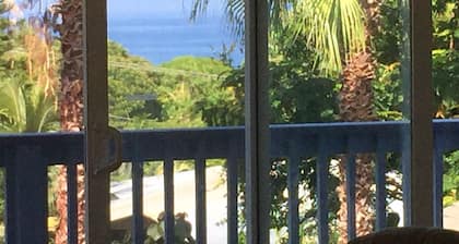 Geräumiges Kealakekua Bay Home mit 4 Schlafzimmern Bay Home: