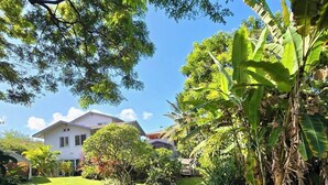 Una casa con un césped cuidado y diversas plantas tropicales.