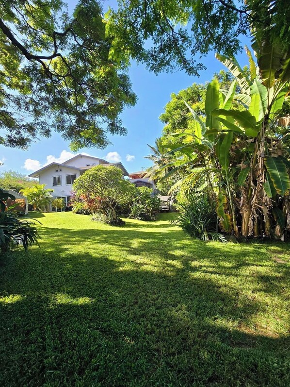 Property grounds - Spacious Kealakekua Bay Home with 4-bedroom bay home: Enjoy Quiet rejuvenation (Capt Cook)
