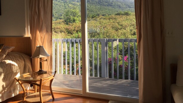 Una habitación con cama, mesa y silla, un balcón con vistas a zonas verdes y una barandilla blanca.