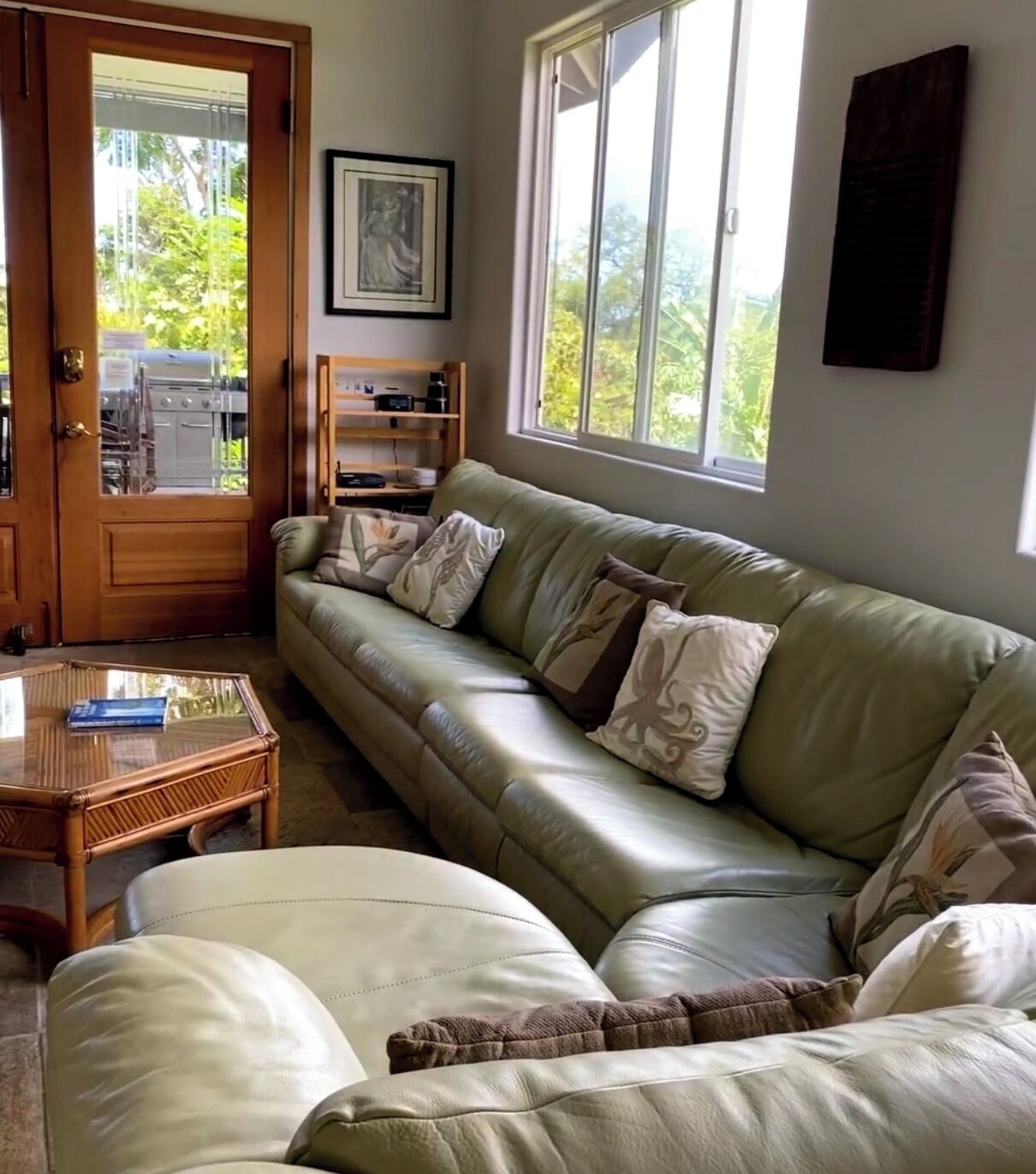 Smart TV, DVD player, books, video library