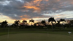Campo de golf con un mástil de bandera, marcador en cruz y palmeras bajo un cielo nublado.