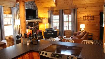 Télévision, cheminée, lecteur de DVD, livres