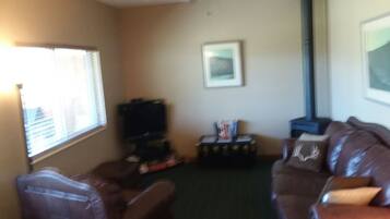 TV, fireplace, DVD player, books