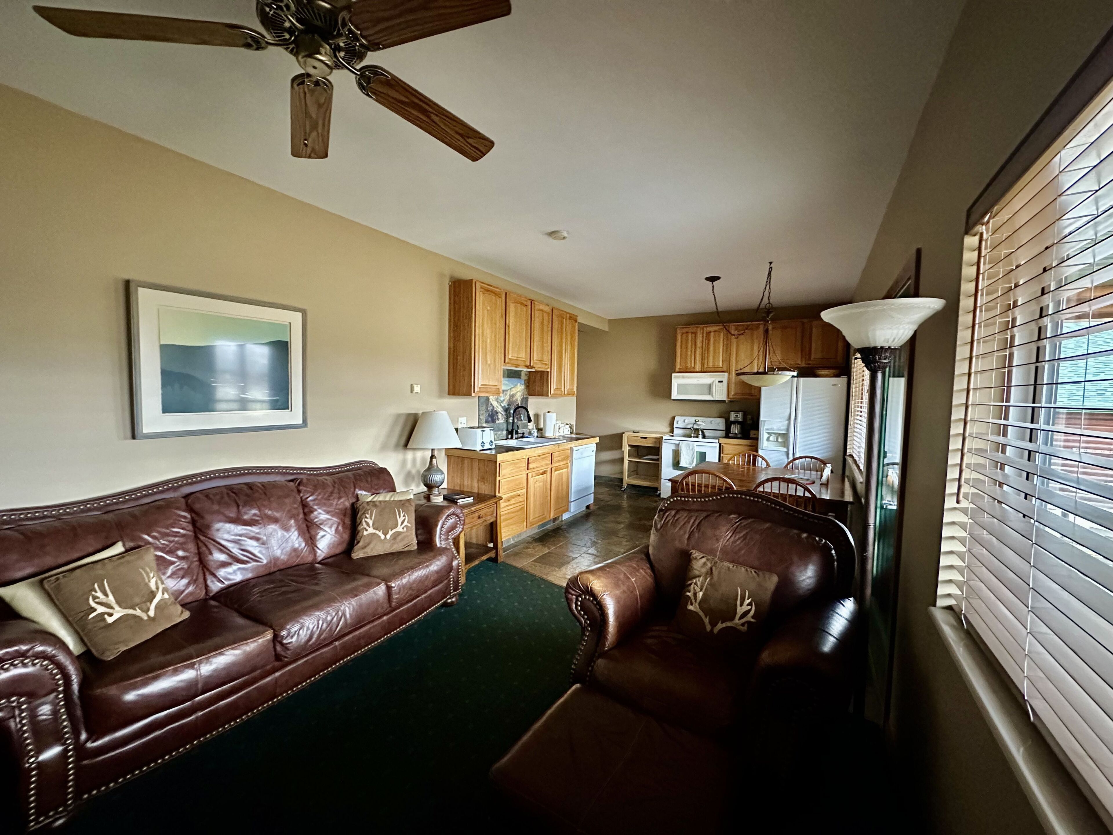 TV, fireplace, DVD player, books