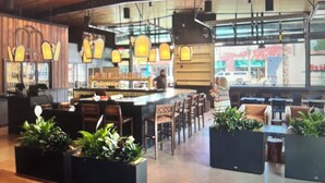 Een modern caféinterieur met houten plafond, bar, zitplaatsen en potplanten.