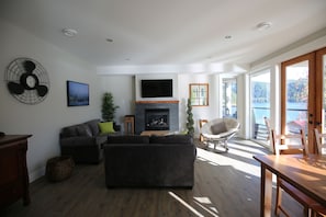 Smart TV, fireplace, books, video library